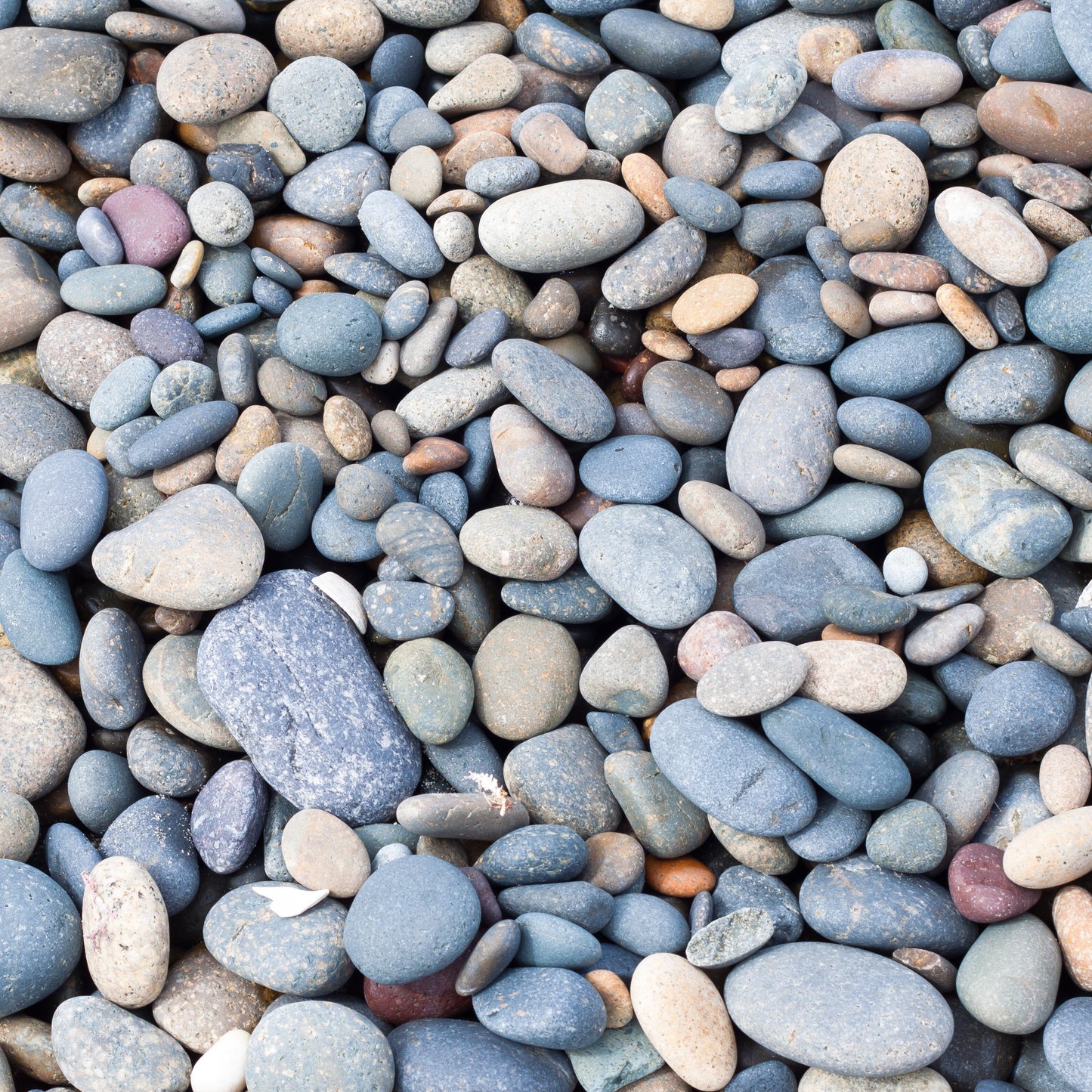 Galet de rivière 1/2 - 3/4