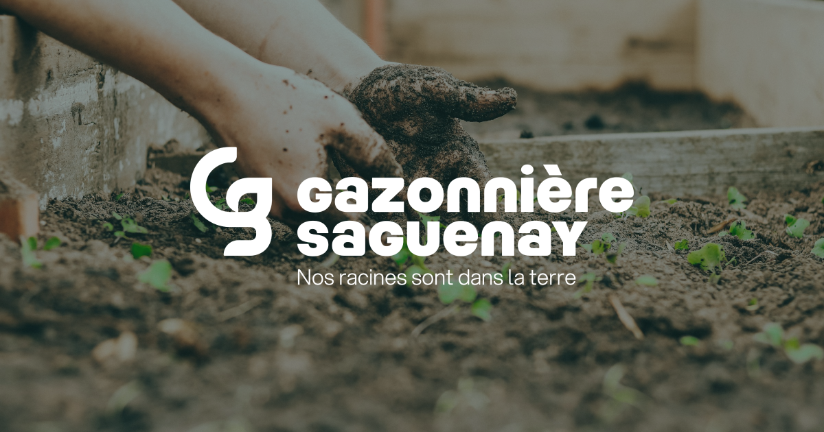 Gazonniere Saguenay